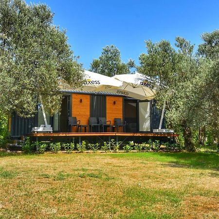 Gulet Tiny House Hotel Ayvacik Zewnętrze zdjęcie